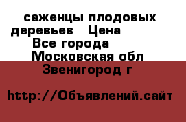 саженцы плодовых деревьев › Цена ­ 6 080 - Все города  »    . Московская обл.,Звенигород г.